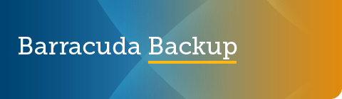 Barracuda Backup 6.5.04 GA リリース のページ写真 1