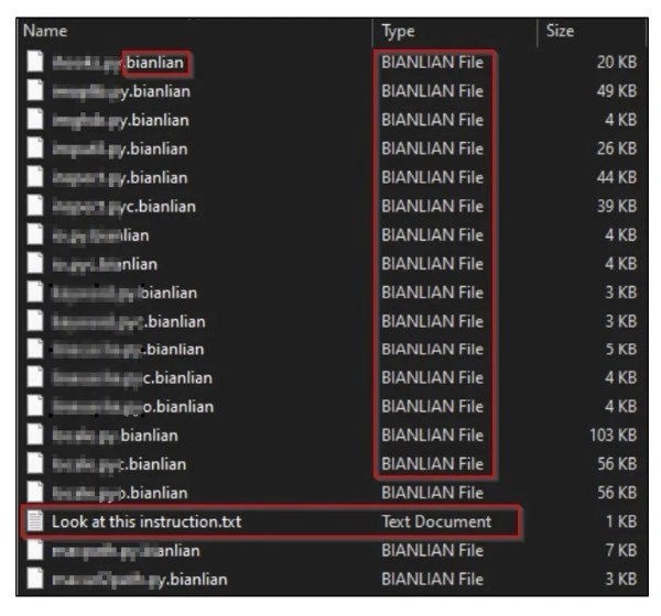 BianLian:顔を変えるランサムウェアの脅威 写真 BianLian:顔を変えるランサムウェアの脅威 のページ写真 5